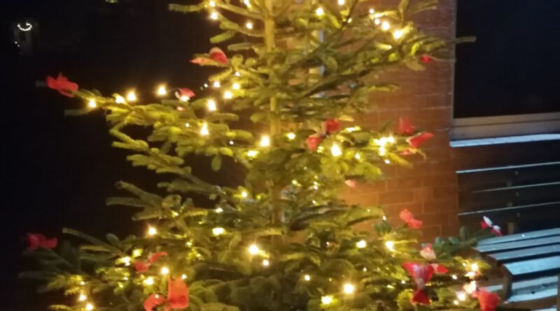 Feuerwehr Derneburg Astenbeck Weihnachtsbaum Einsammeln 2022
