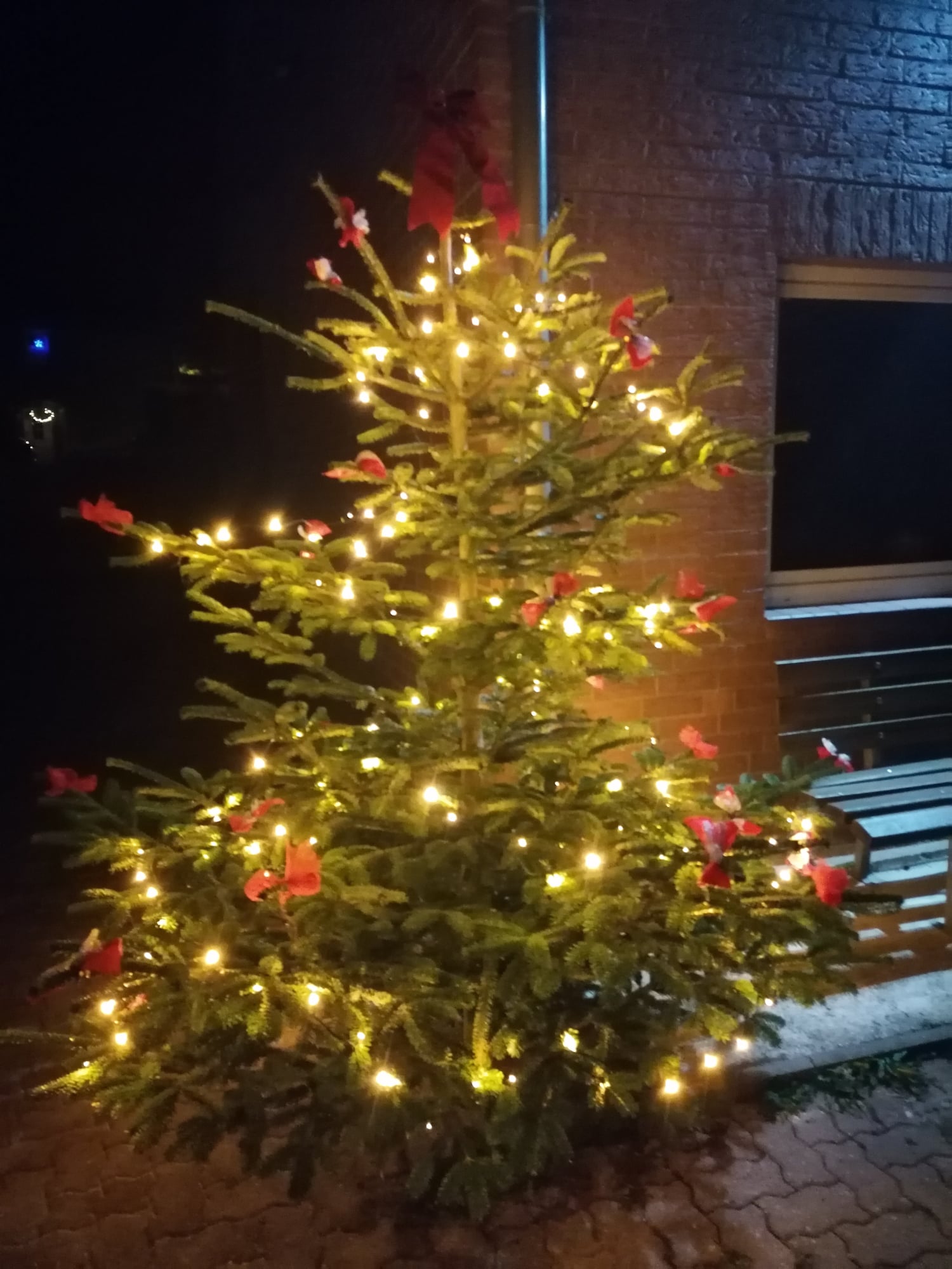 Feuerwehr Derneburg Astenbeck Weihnachtsbaum Einsammeln 2022